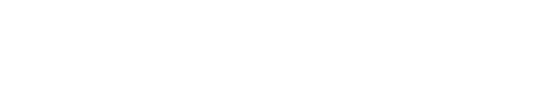 ah strength and performance logo, ashley hosfeld, personal trainer